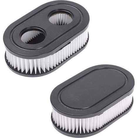 Filtre À Air Ovale Noir Pour Tondeuse Mtd Lot De 2 Pièce Bs 798452