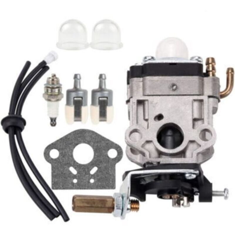 Praktischer Vergaser Wyj-192-1 Srm2601 Srm2400 Srm2610 Pe2601