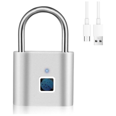 Fingerabdruck-vorhängeschloss Für Turnhallenschränke, Finlger Lock Lock (silber)
