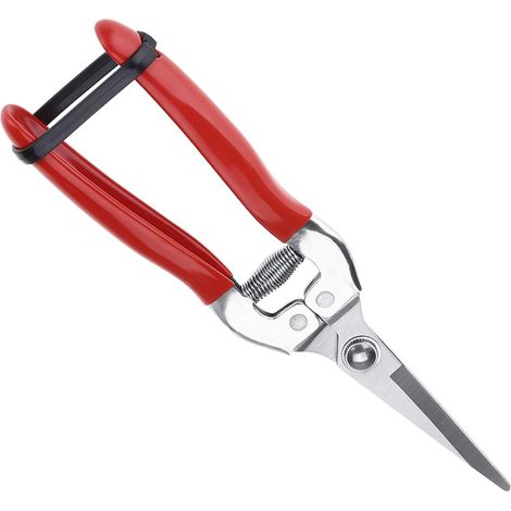 Gartenschere, Gartenschere, Gartenschere, Professionelle Gartenschere, Rot.