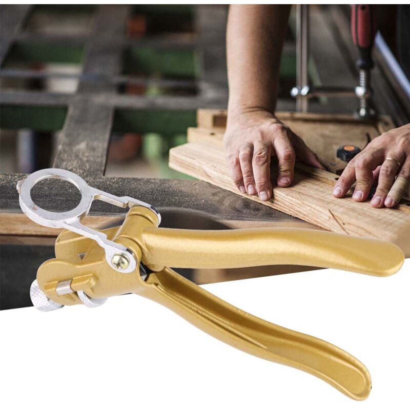 Holzbearbeitungsbandsäge, Sägeblattpicker, Sägeklemme (mit Lupe)