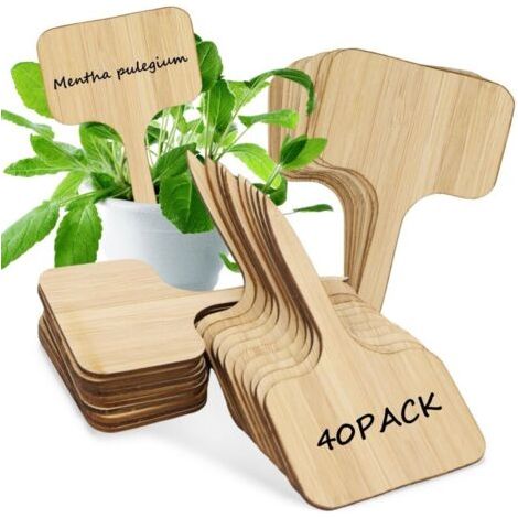 Étiquette Plante Bois – 40 Stück, Étiquette Plante Bois Forme T – Résistante Intempéries, Pour Jardin/légumes