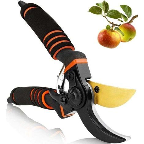 Professionelle Gartenschere Im Verbund Mit Titan, Gartenschere, Angepasst An Die Größe Der Zweige, Der Haie Und Der Blumen, Die Ein Ausgezeichnetes Geschenk Gemacht Hat.
