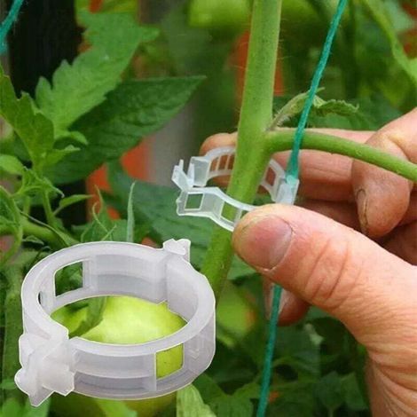100 Stück Kunststoff-pflanzenstützklammern, Wiederverwendbar, Zum Schutz, Zum Pfropfen, Befestigungswerkzeug, Für Tomaten, Gemüse, Gartenbedarf