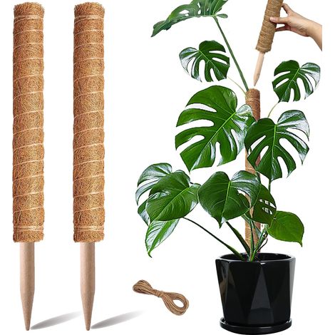 Tiges De Mousse, 2er-pack Für Monstera Deliciosa Von 43 Cm (17 Beutel), Für Pflanzen, Innenzubehör