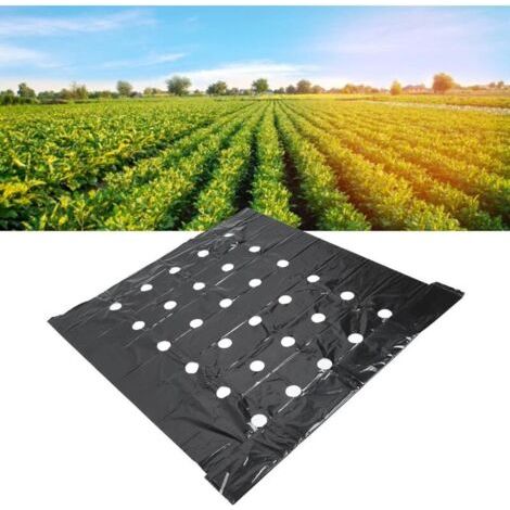Paillis Perforé, Plantes Noires Film Pe Perforiert Für Jardin Film De Paillage Noir Pare-vapeur Bâche En Plastique Film De Paillage Agricole Film Perforé Agricole Noir