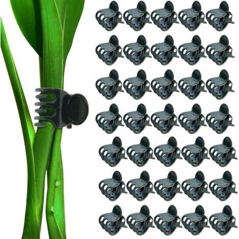 100 Stück Pflanzenklammern, Orchideenklammern, Topfkletterpflanzen-stützklammern Zur Unterstützung Von Weinreben, Weinstielen, Topfkletterpflanzen