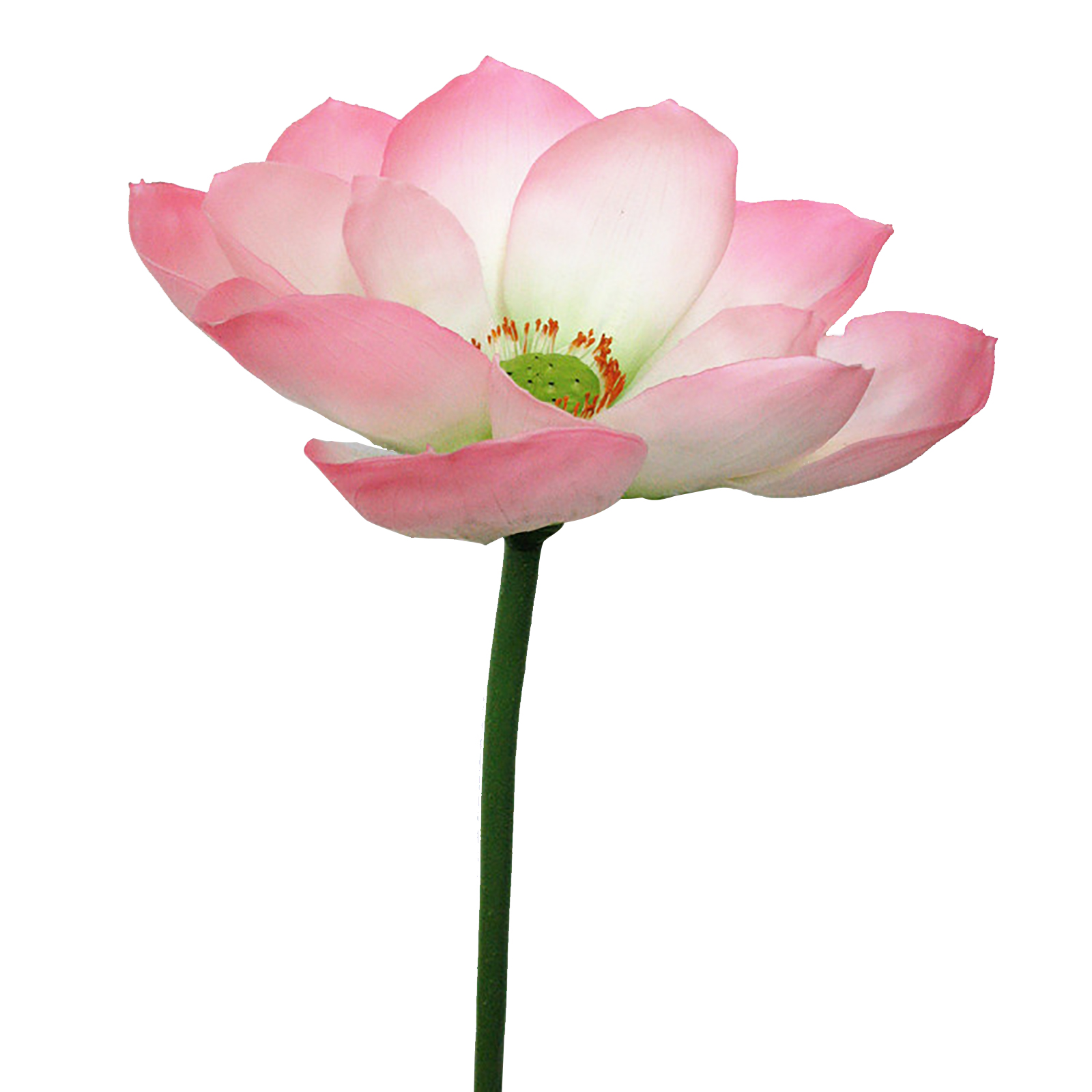 Künstliche Teichpflanze Mit Stiel, Realistische Künstliche Teichpflanze Für Den Außenbereich, Geeignet Als Vasenfüller, Aquarium- Und Gartendekoration, Rosa