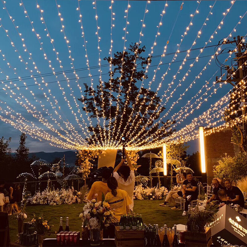 Lichterkette 100 M 1000 Led-lichter Christbaumschmuck Für Drinnen Und Draußen, Wasserdicht, Für Neujahr
