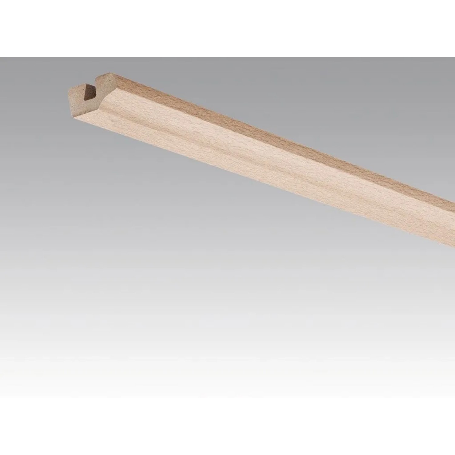 Meister Wand- und Deckenleiste Buche Pure 4094 Dekor