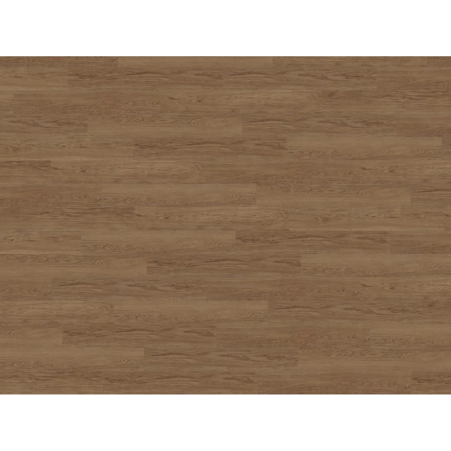 WICANDERS Korkboden Naturboden Wood Natural XL Elegant Oak