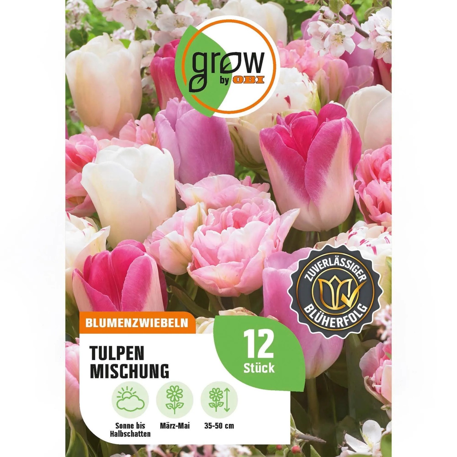 GROW by OBI Tulpen Mischung Nr. 3 / 12 Stück Tulipa mix