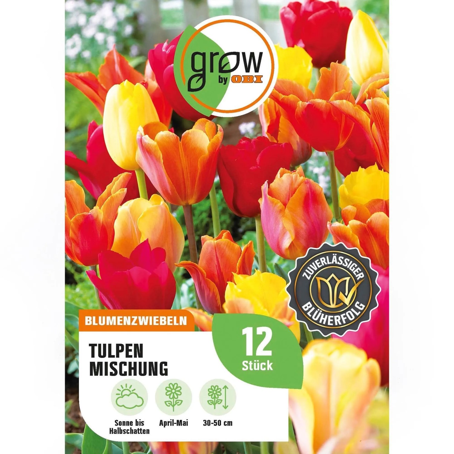 GROW by OBI Tulpen Mischung Nr. 2 / 12 Stück Tulipa mix