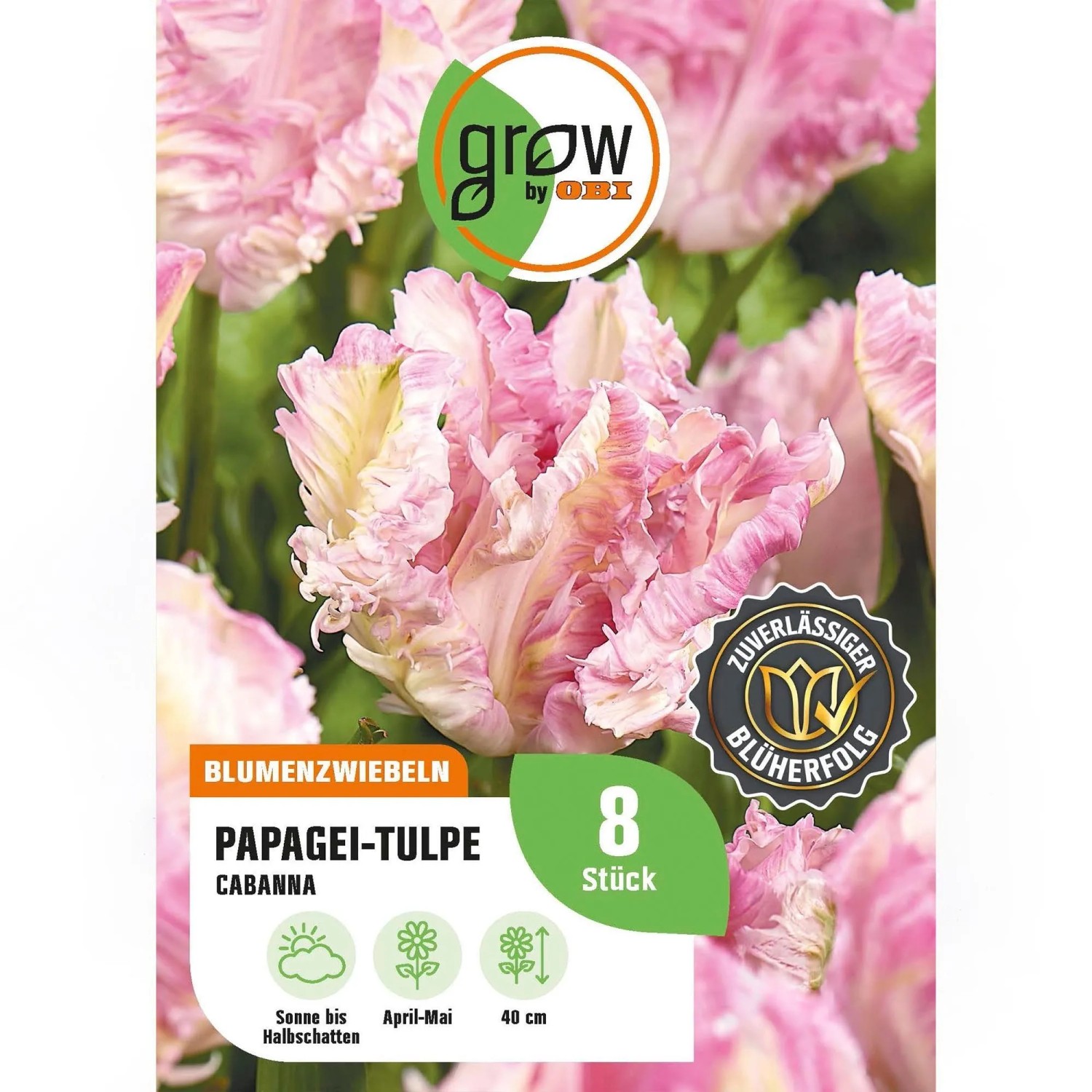 GROW by OBI Papagei-Tulpe Cabanna Rosa 7 Stück Tulipa parrot Cabanna