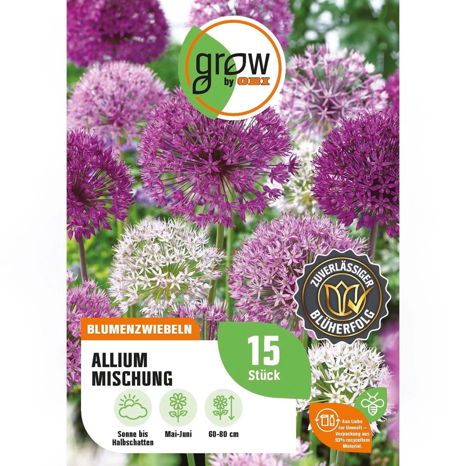 GROW by OBI Allium Mischung 15 Stück Alllium Mix