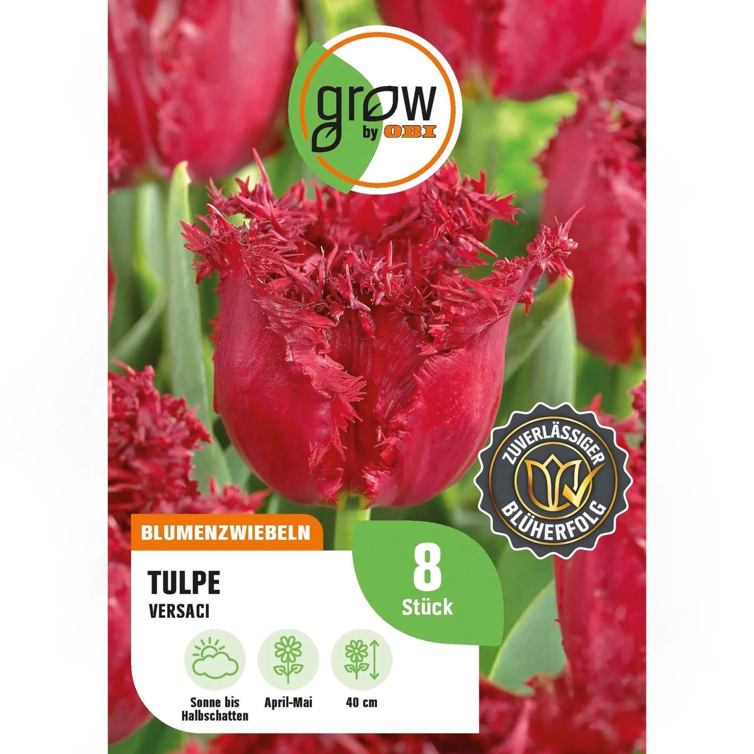 GROW by OBI Tulpe Versaci Rot 8 Stück Tulipa fringed Versaci