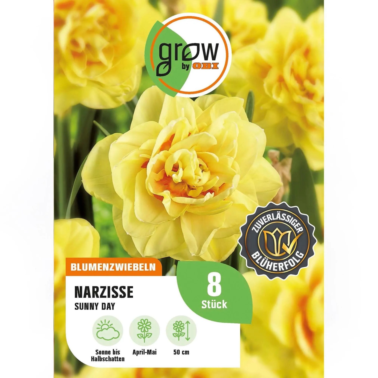 GROW by OBI Narzisse Sunny Day Gelb 8 Stück Narcissus double Sunny Day
