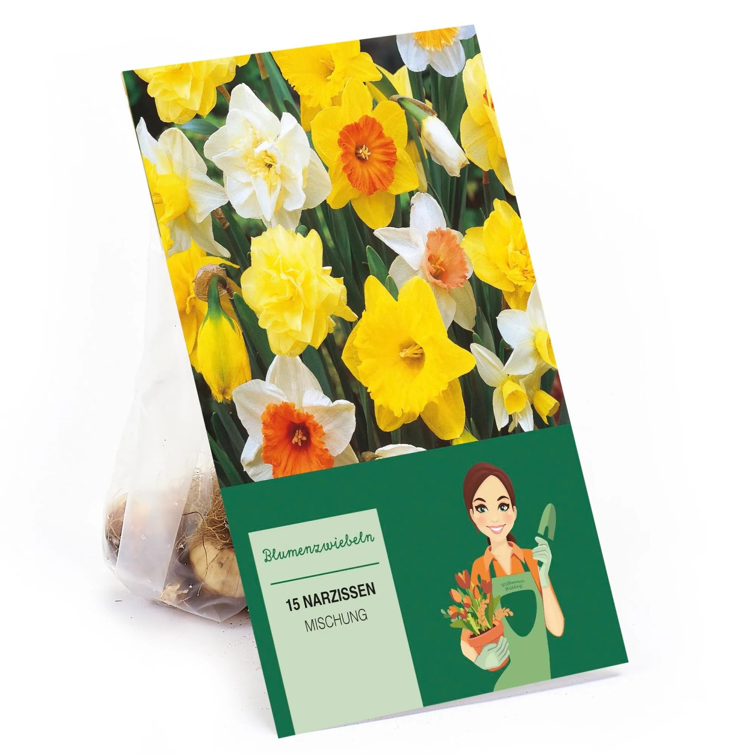 Narzissen Einfach Mischung 15 Stück Narcissus Mixed