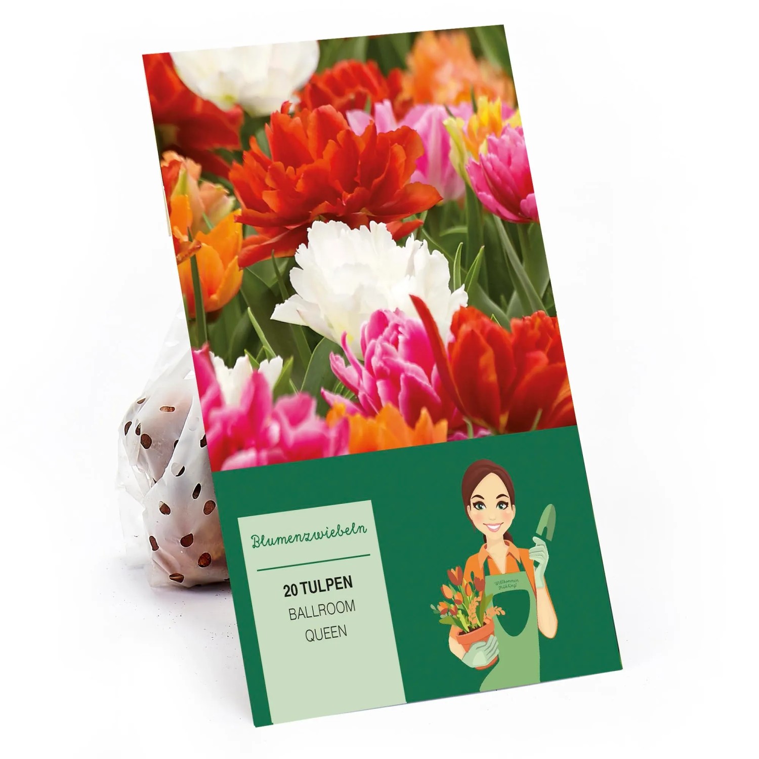 Tulipa Ballroom Queen Mischung 20 Stück Tulipa double early Ballroom Queen