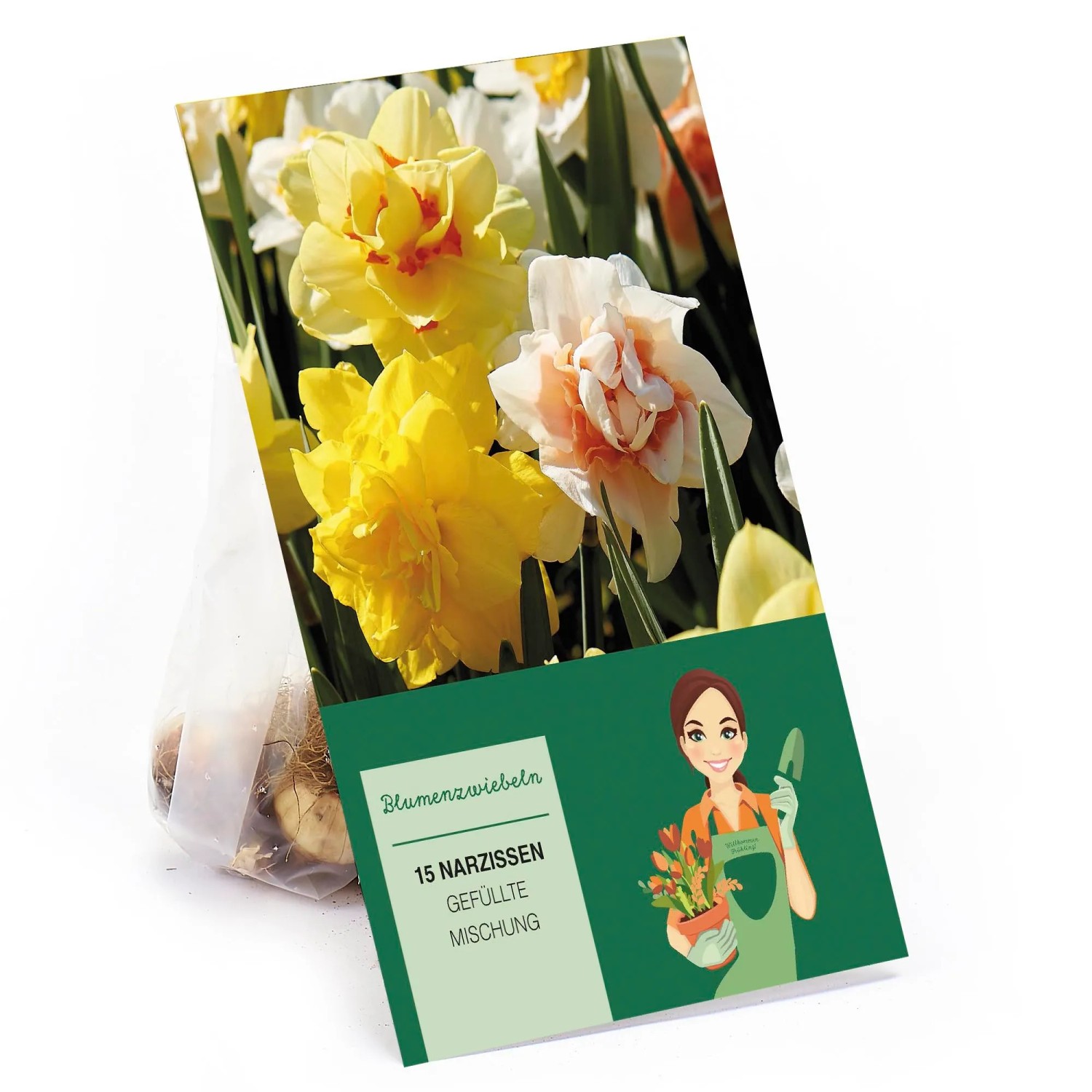 Narzissen GefüllteMischung 15 Stück Narcissus double Mixed
