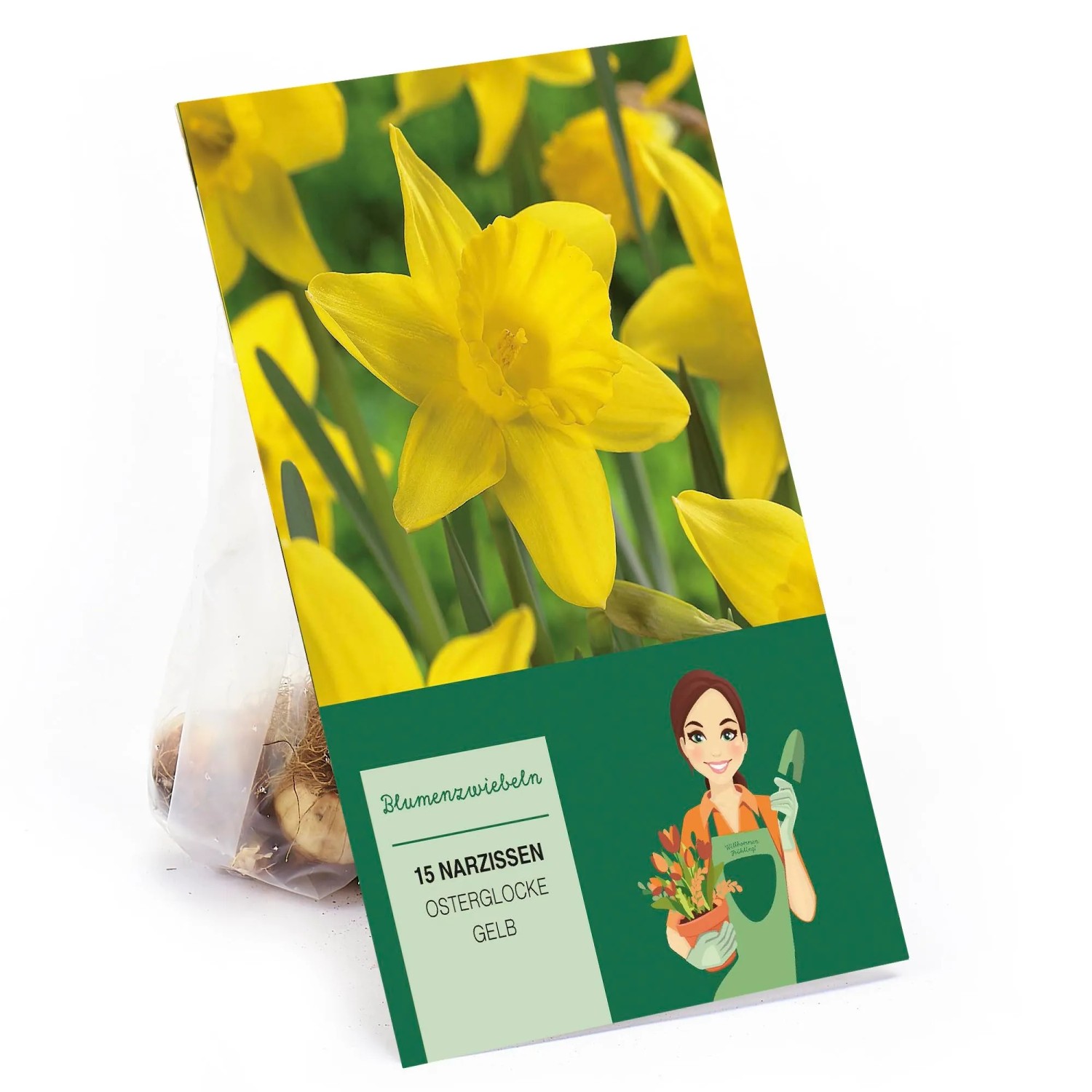 Narzissen Osterglocke Gelb 15 Stück Narcissus Yellow
