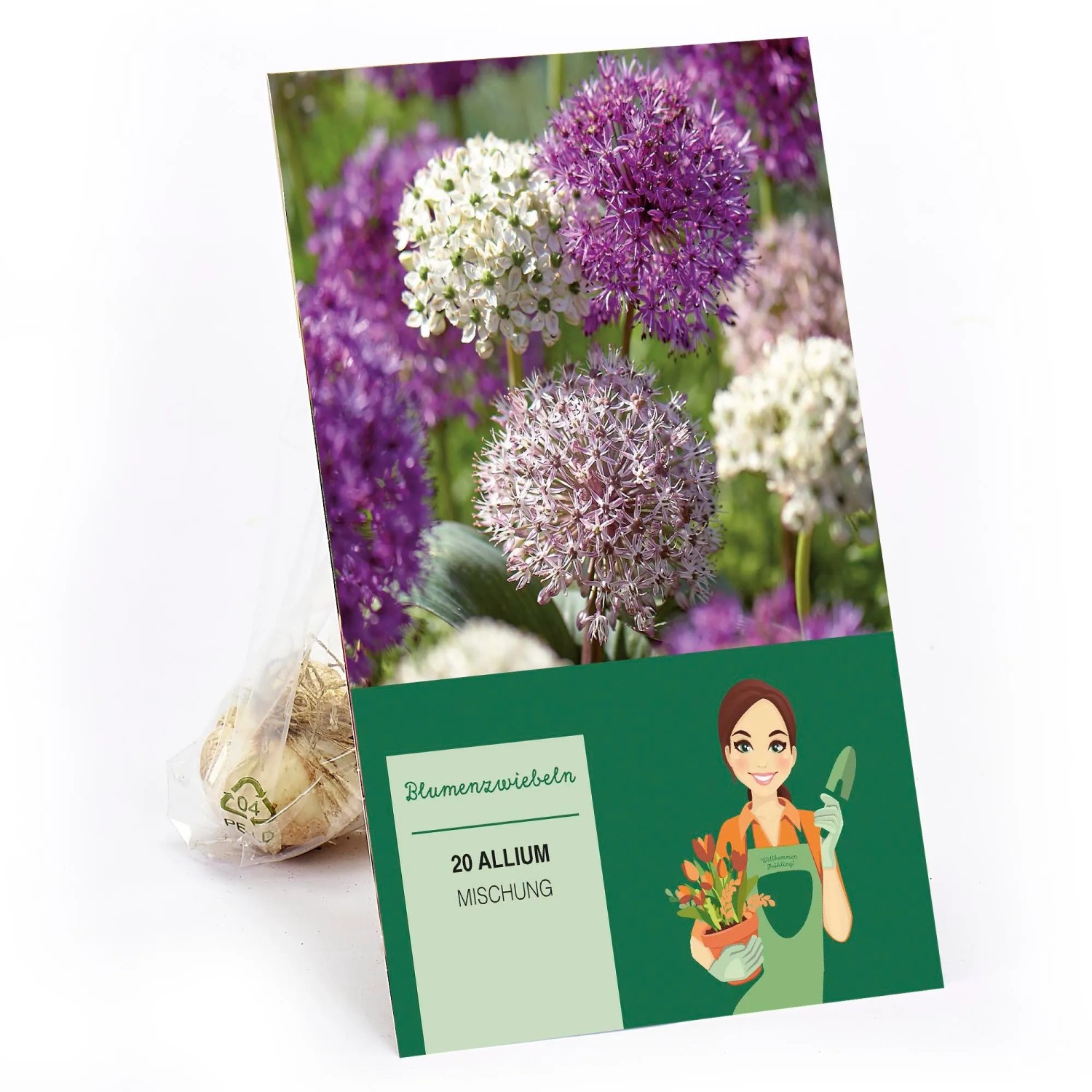 Zierlauch Sensation Mischung 20 Stück Allium