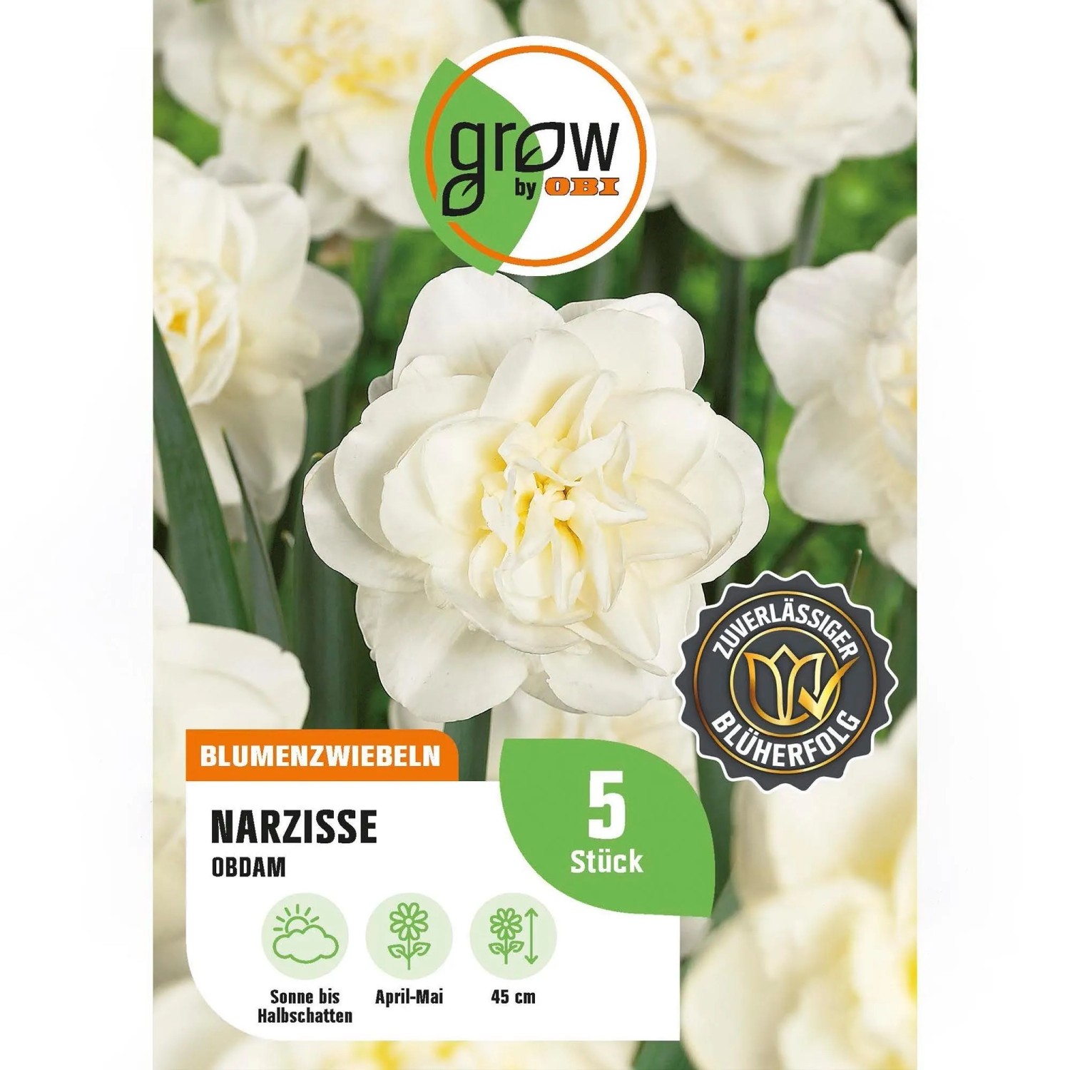 GROW by OBI Narzissen Gefüllte Obdam Weiß 4 Stück Narcissus double Obdam