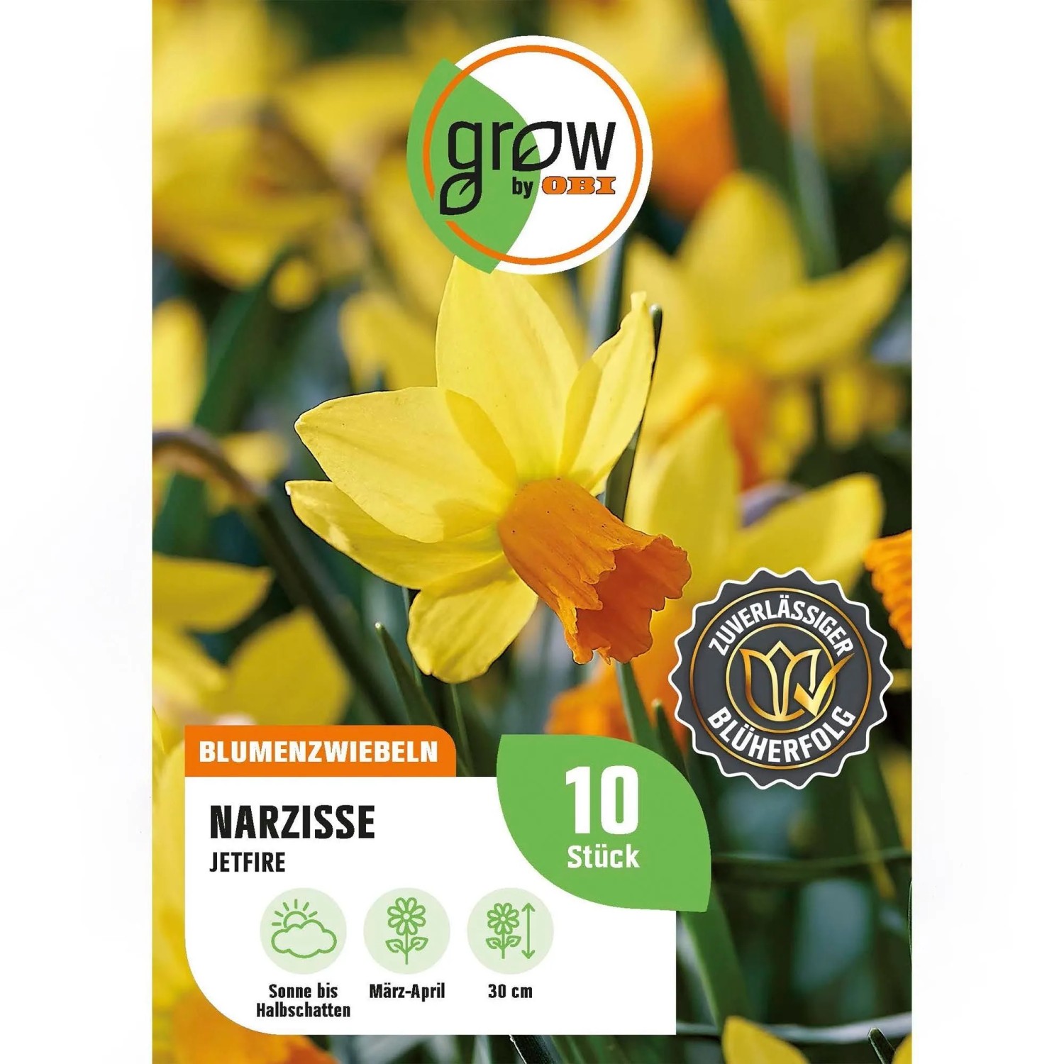 GROW by OBI Narcisse Jetfire Orange-Gelb 10 Stück Narcissus cyclamineus Jetfire