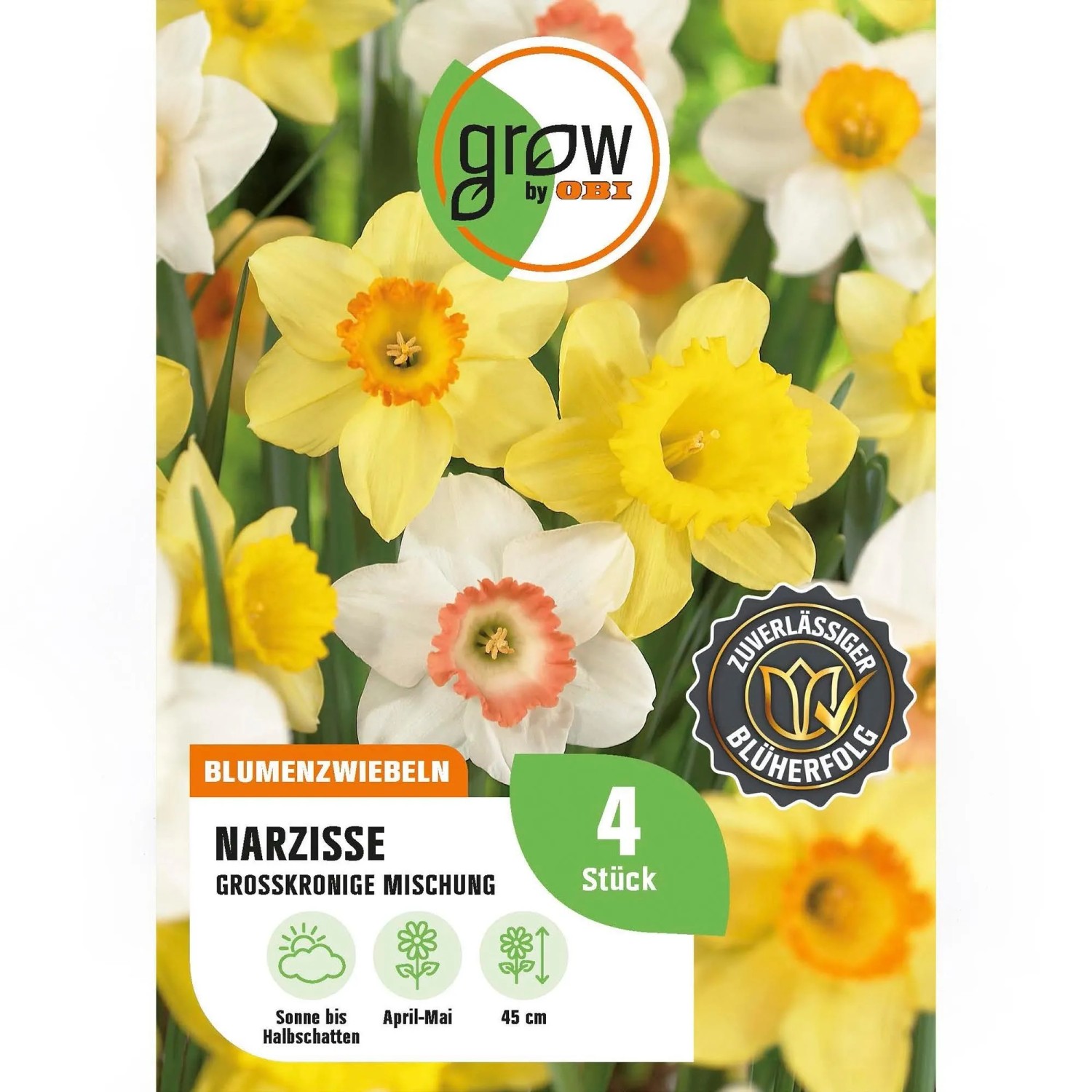 GROW by OBI Narzissen Mischung 4 Stück Narcissus,arge cupped Mixed