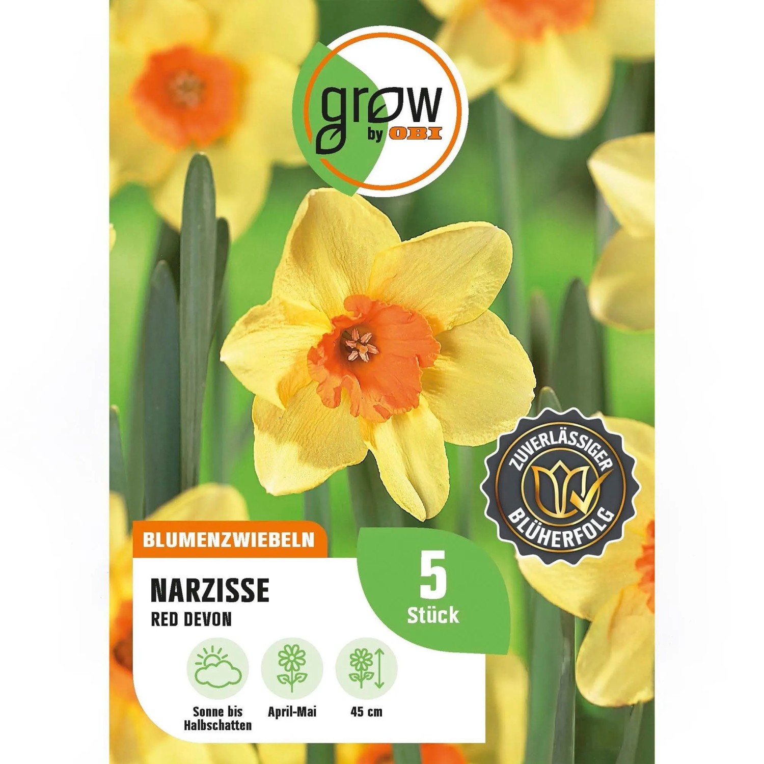 GROW by OBI Narzisse Red Devon Gelb 4 Stück Narcissus,arge cupped Red Devon