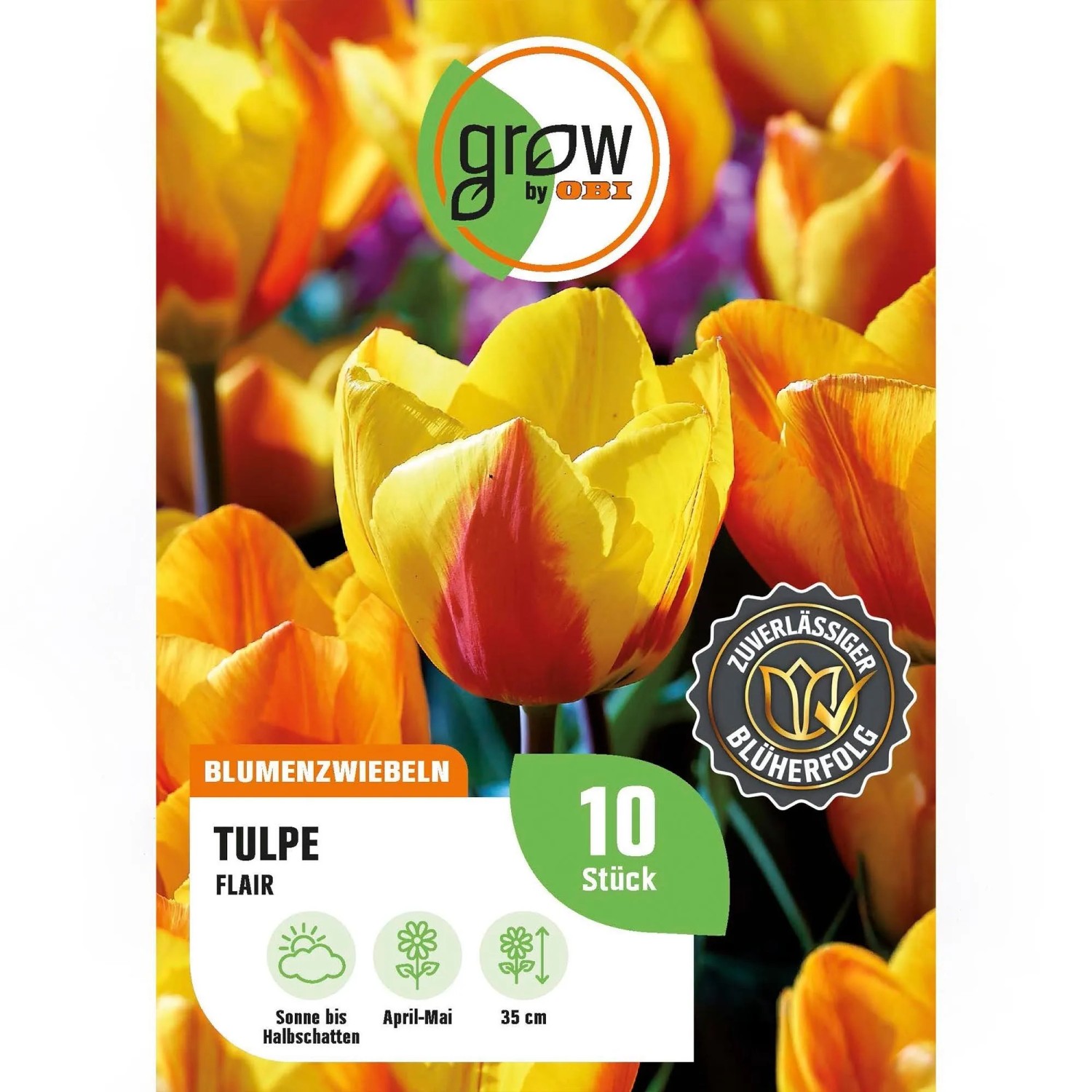 GROW by OBI Tulpe Flair Orange-Gelb 8 Stück Tulipa single early Flair