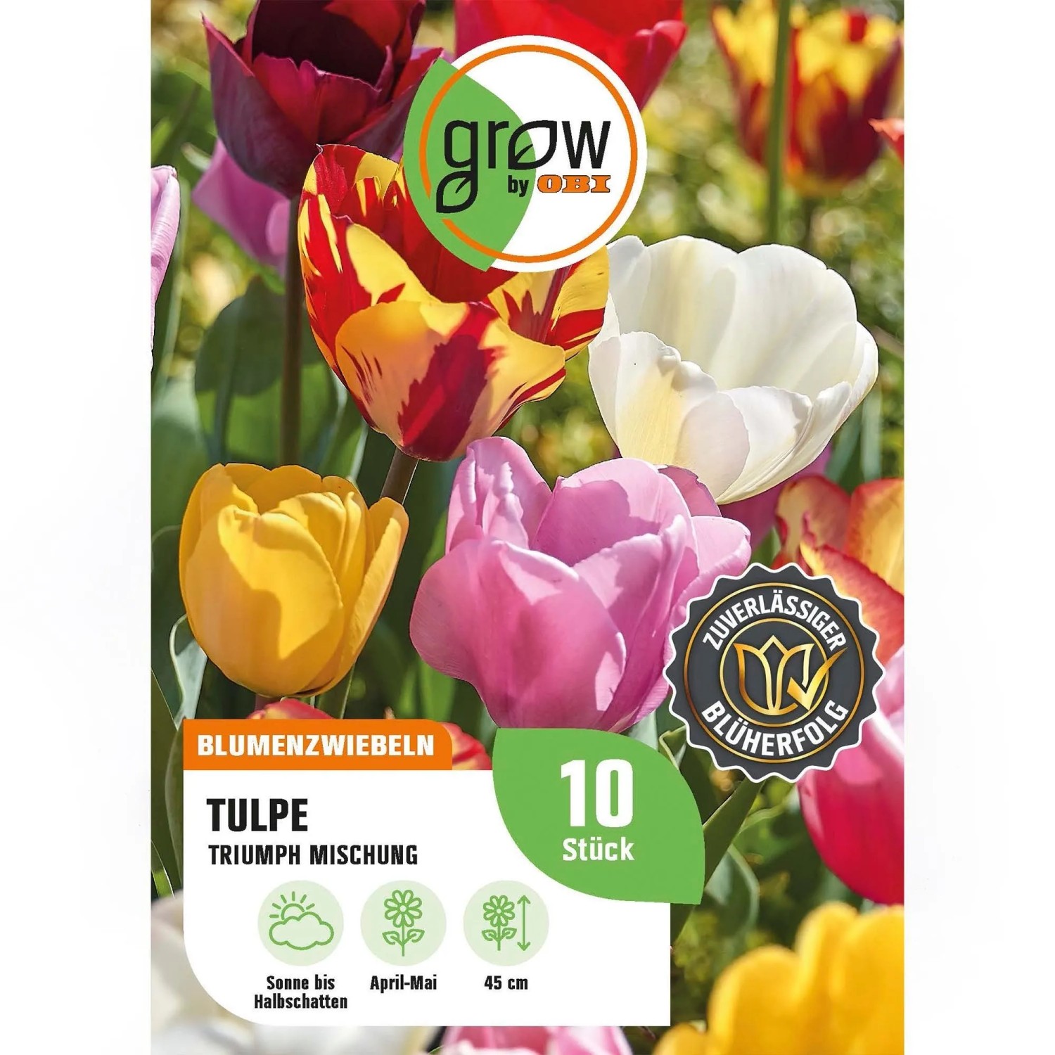 GROW by OBI Tulpen Triumph Mischung Mischung 8 Stück Tulipa triumph Mixed