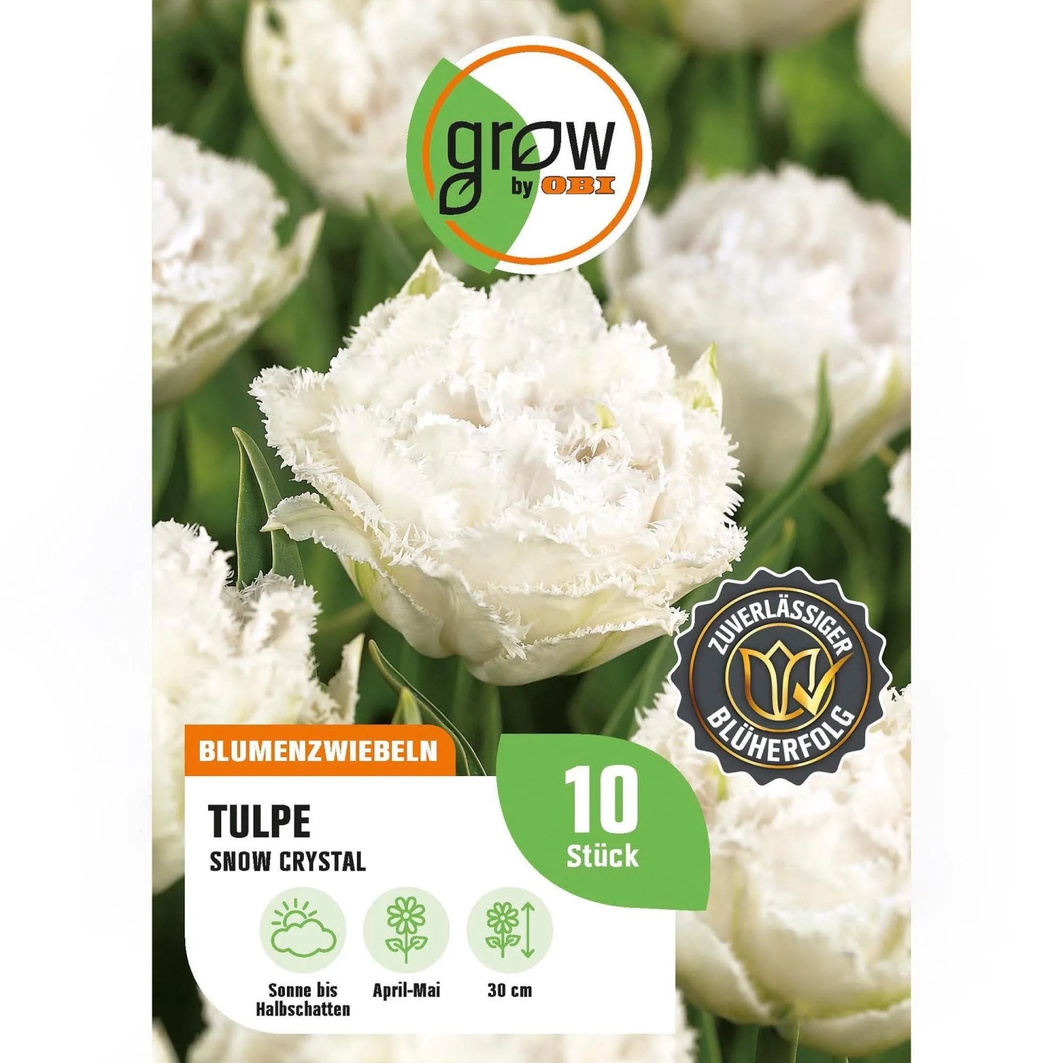 GROW by OBI Tulpe Snow Crystal Satin-Weiß 8 Stück Tulipa fringed Snow Crystal