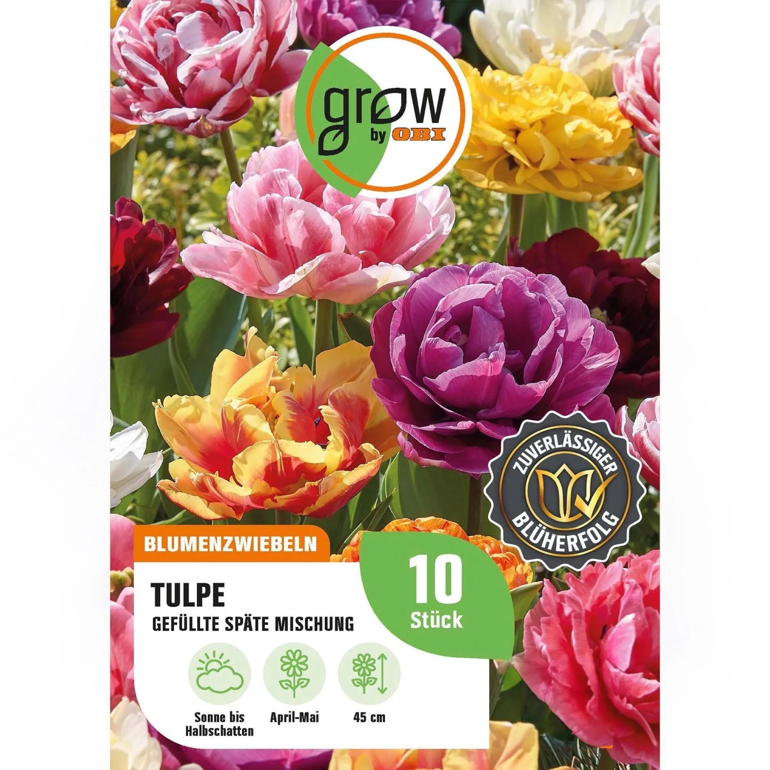 GROW by OBI Tulpen Gefüllte späte Mischung 8 Stück Tulipa double,ate Mixed