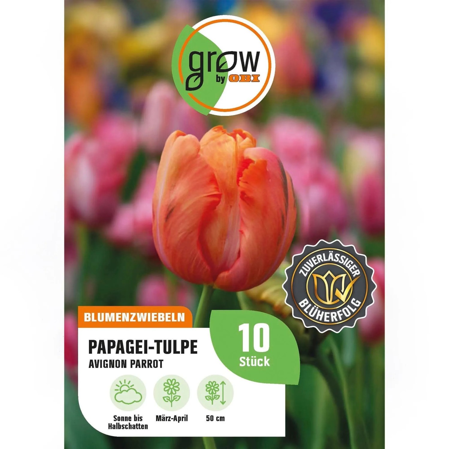 GROW by OBI Papagei-Tulpe Avignon Parrot Rot 8 Stück Tulipa parrot