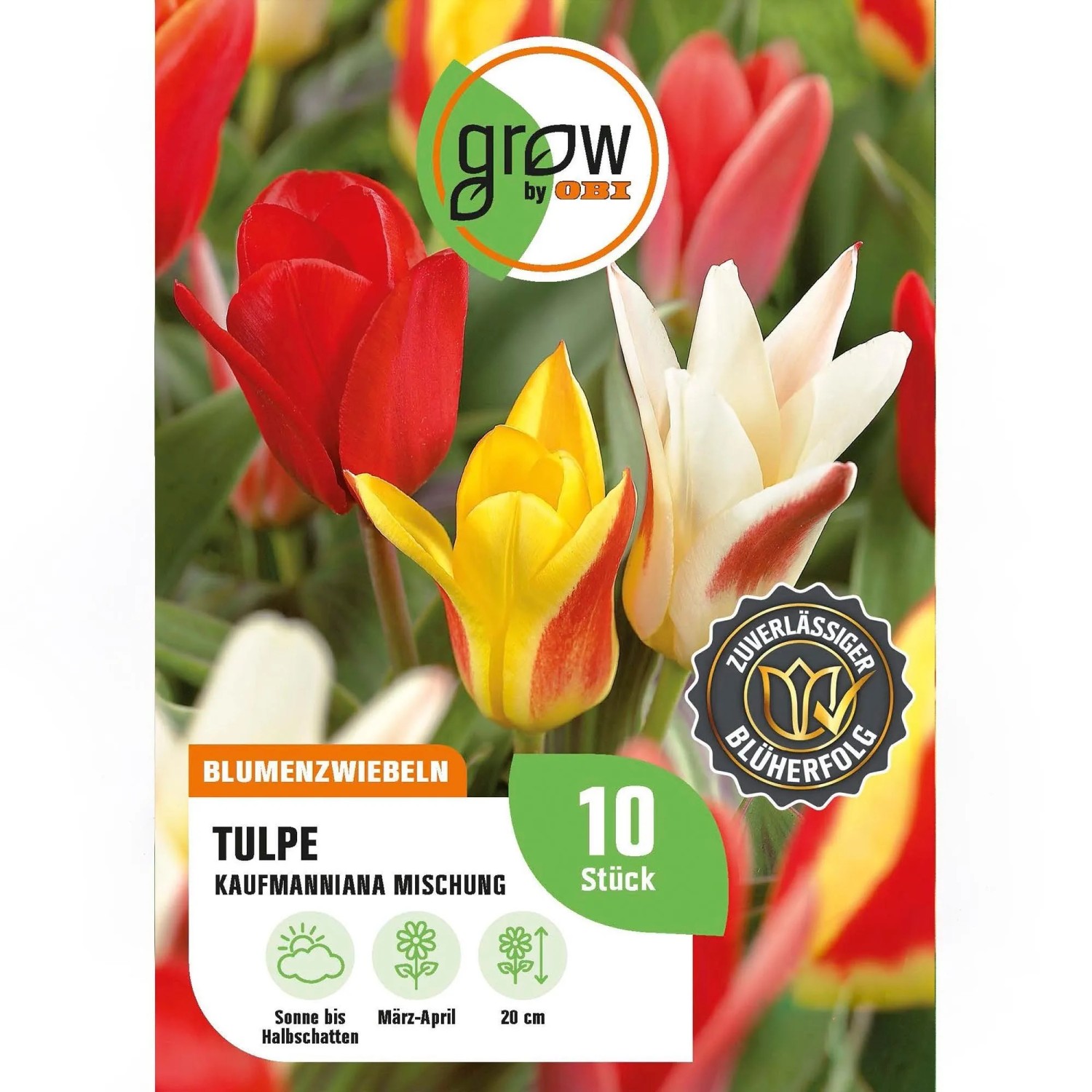 GROW by OBI Tulpen Peacock Mischung 8 Stück Tulipa peacock Mixed