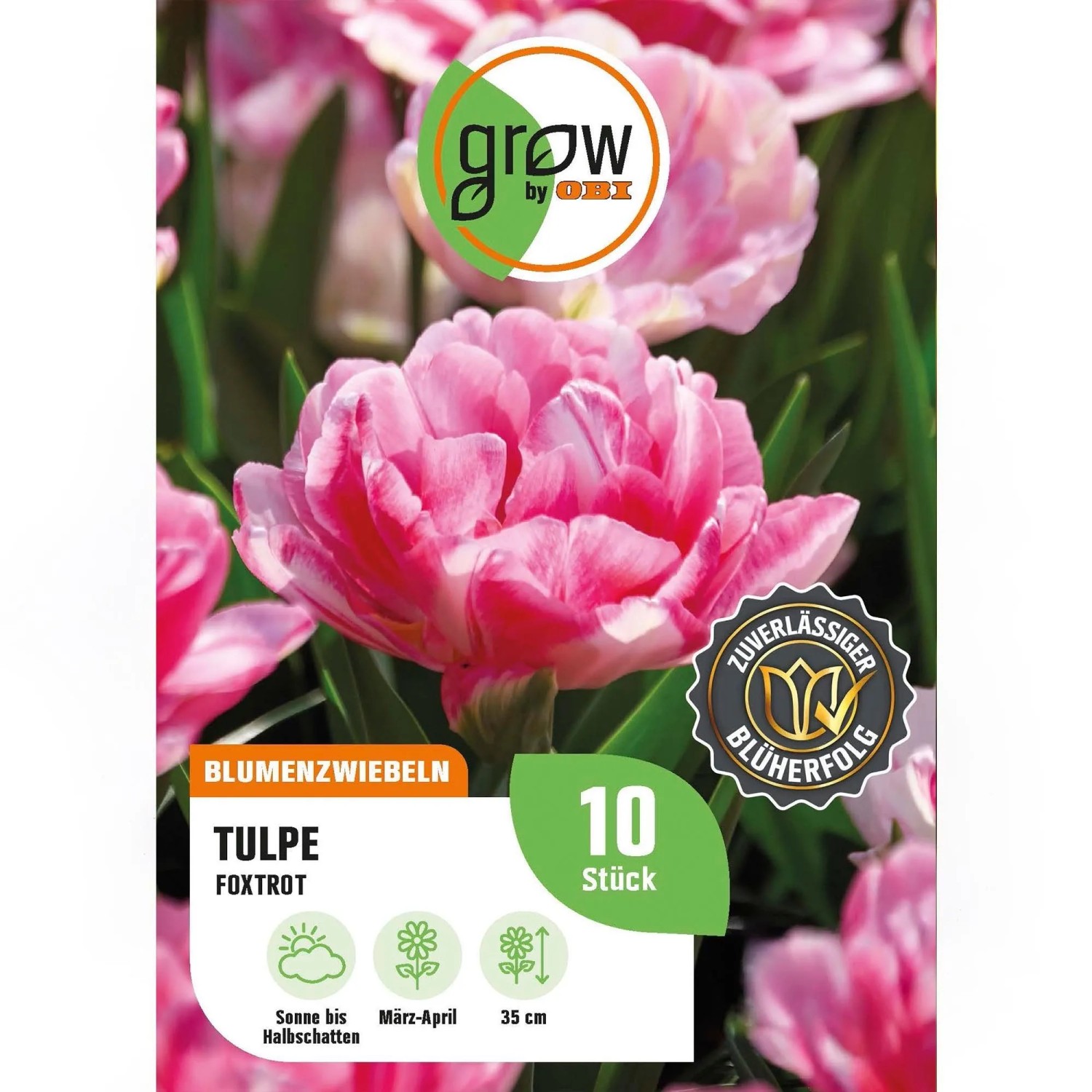 GROW by OBI Tulpe Foxtrot Rosa 8 Stück Tulipa double early Foxtrot