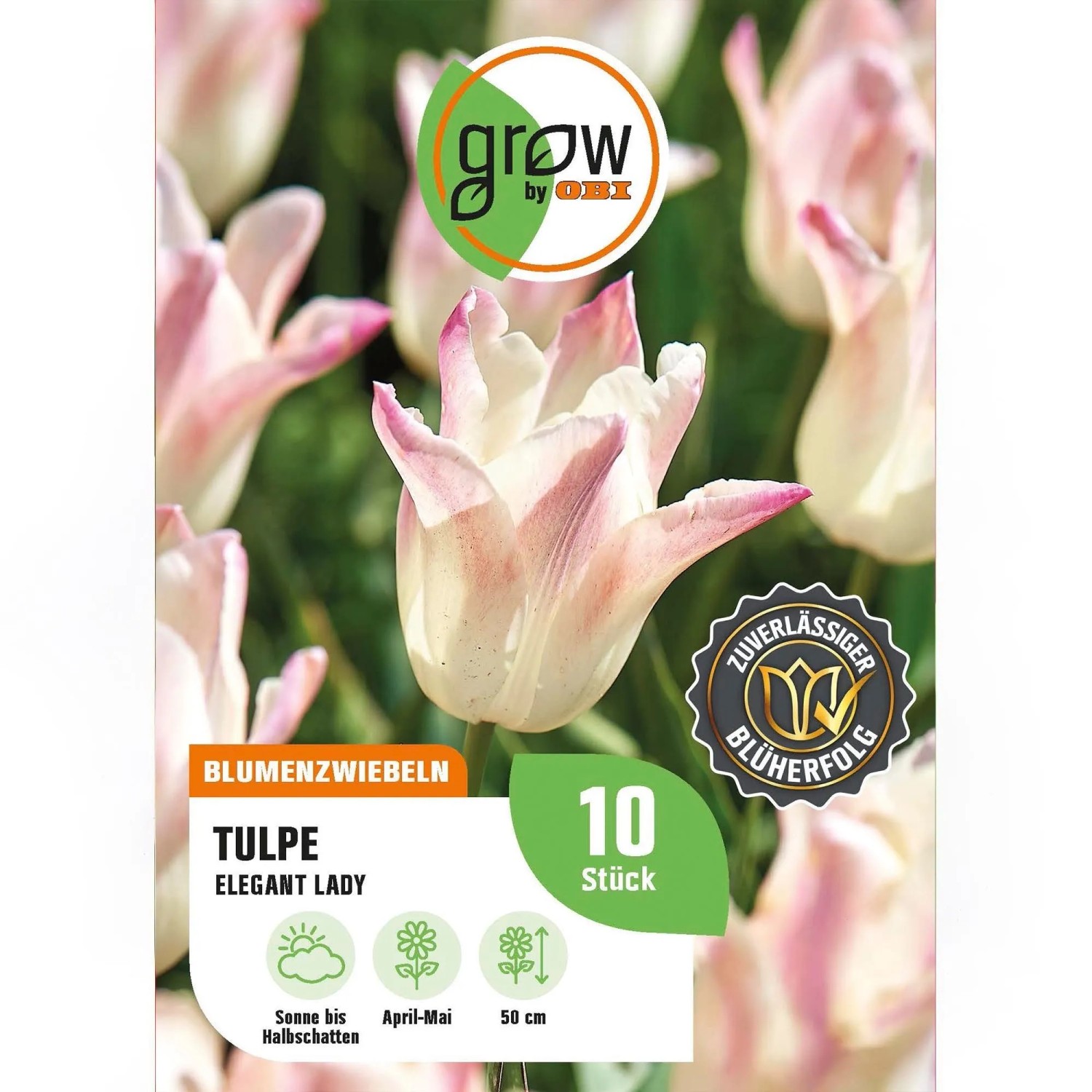 GROW by OBI Tulpe Elegant Lady Rosa-Weiß 8 St. Tulipa,ily flowering Elegant L.