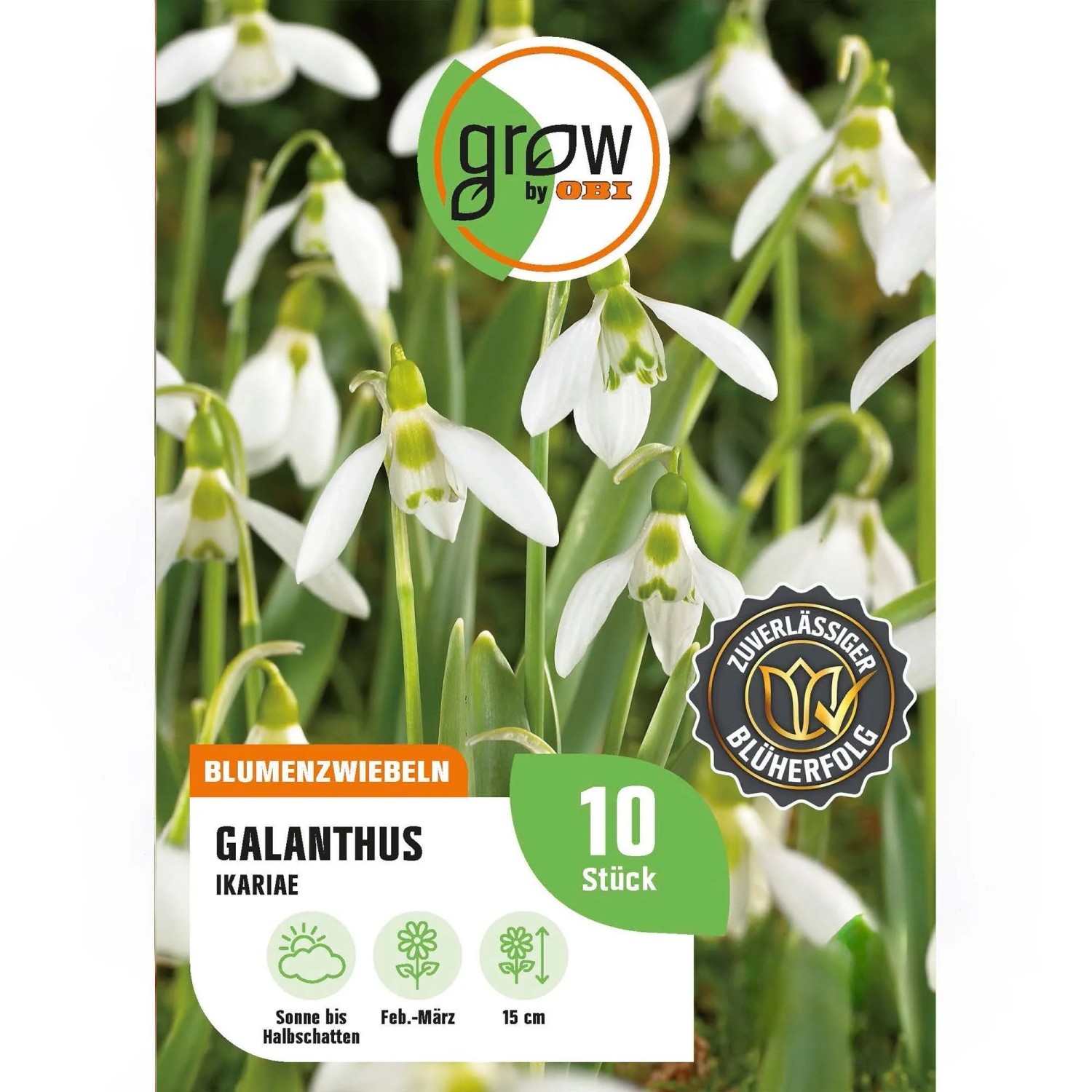 GROW by OBI Galanthus ikariae Weiß 10 Stück