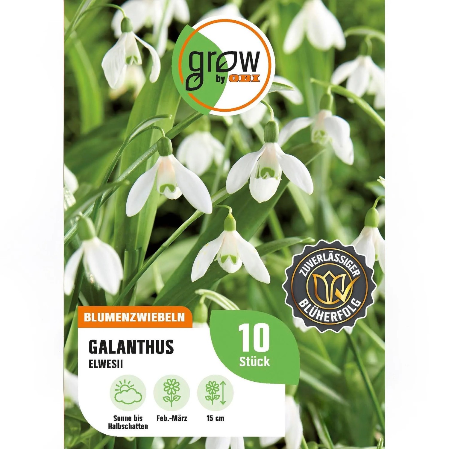 GROW by OBI Galanthus elwesii Weiß 8 Stück