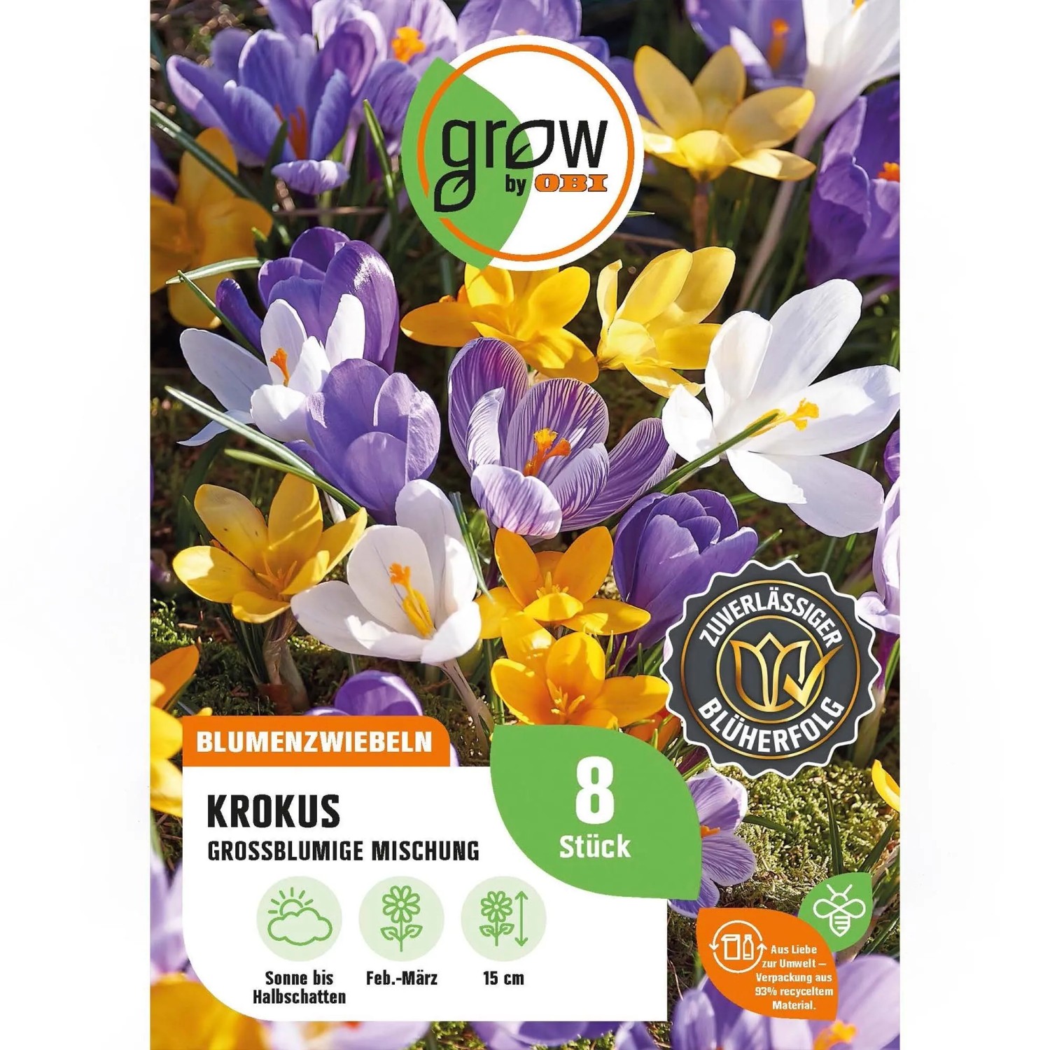 GROW by OBI Krokus großblumige Mischung 8 Stück Crocus vernus Mixed
