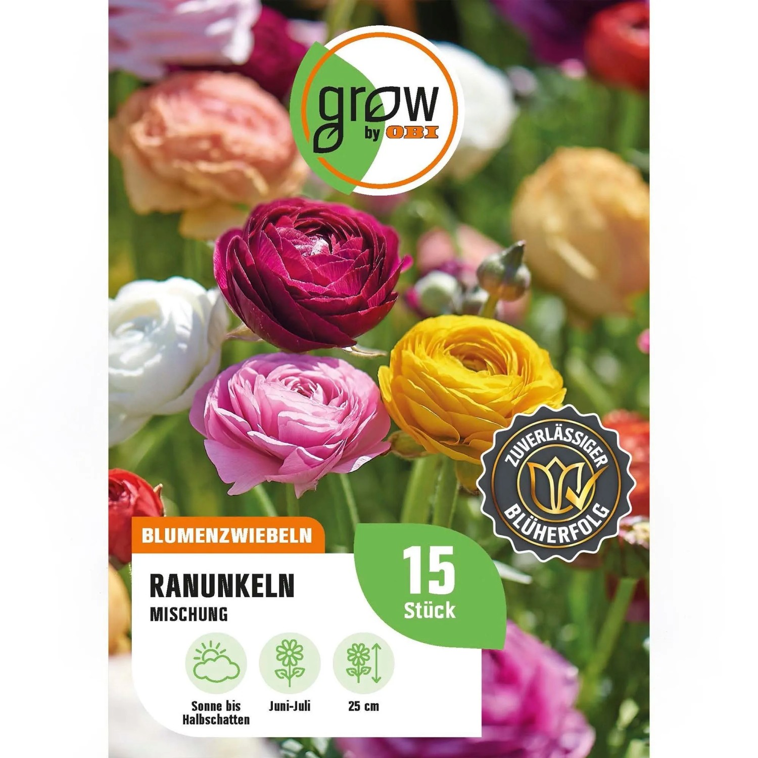 GROW by OBI Ranunkeln Mischung 15 Stück Ranunculus asiaticus Mixed