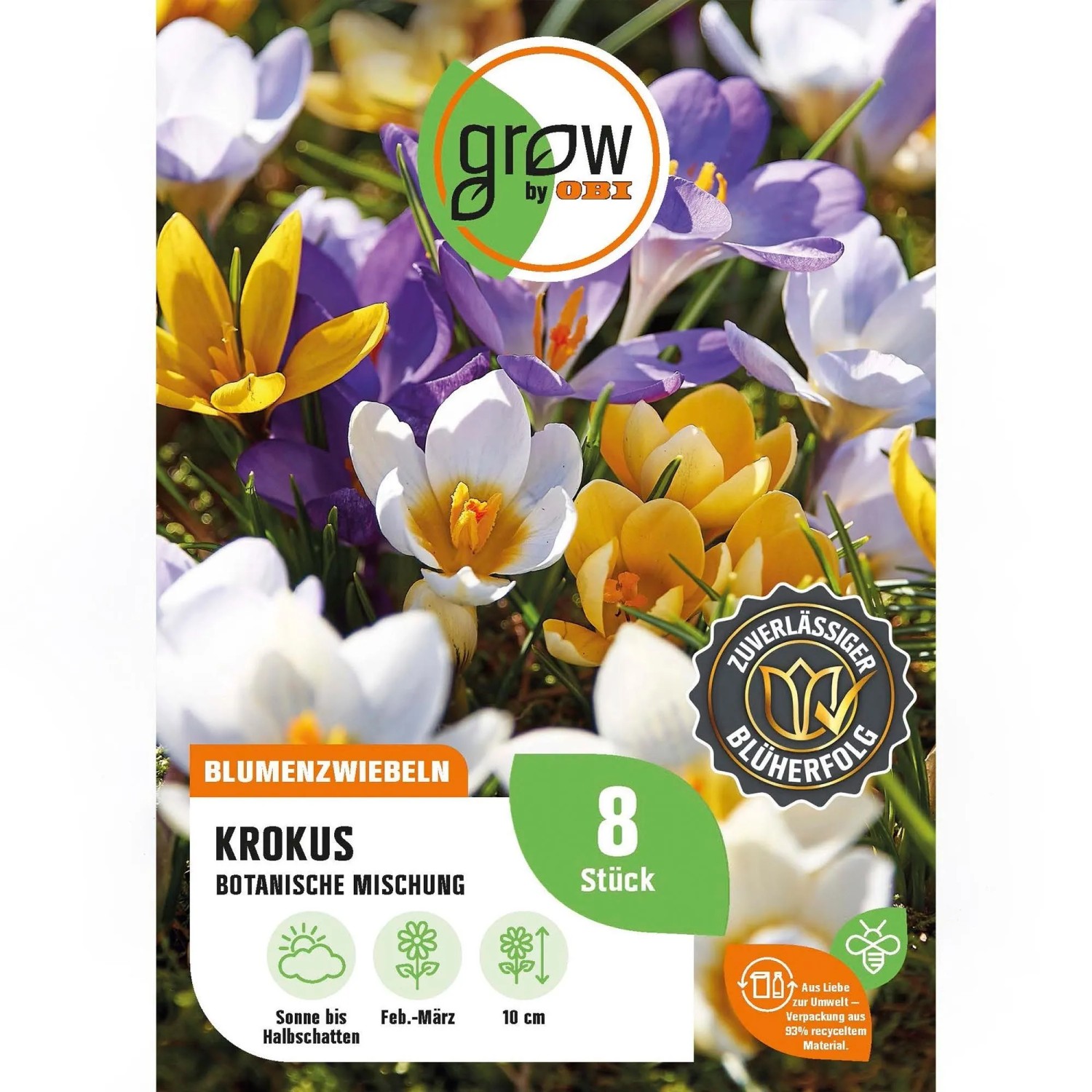 GROW by OBI Krokus Botanische Mischung 8 Stück Crocus botanical Mixed