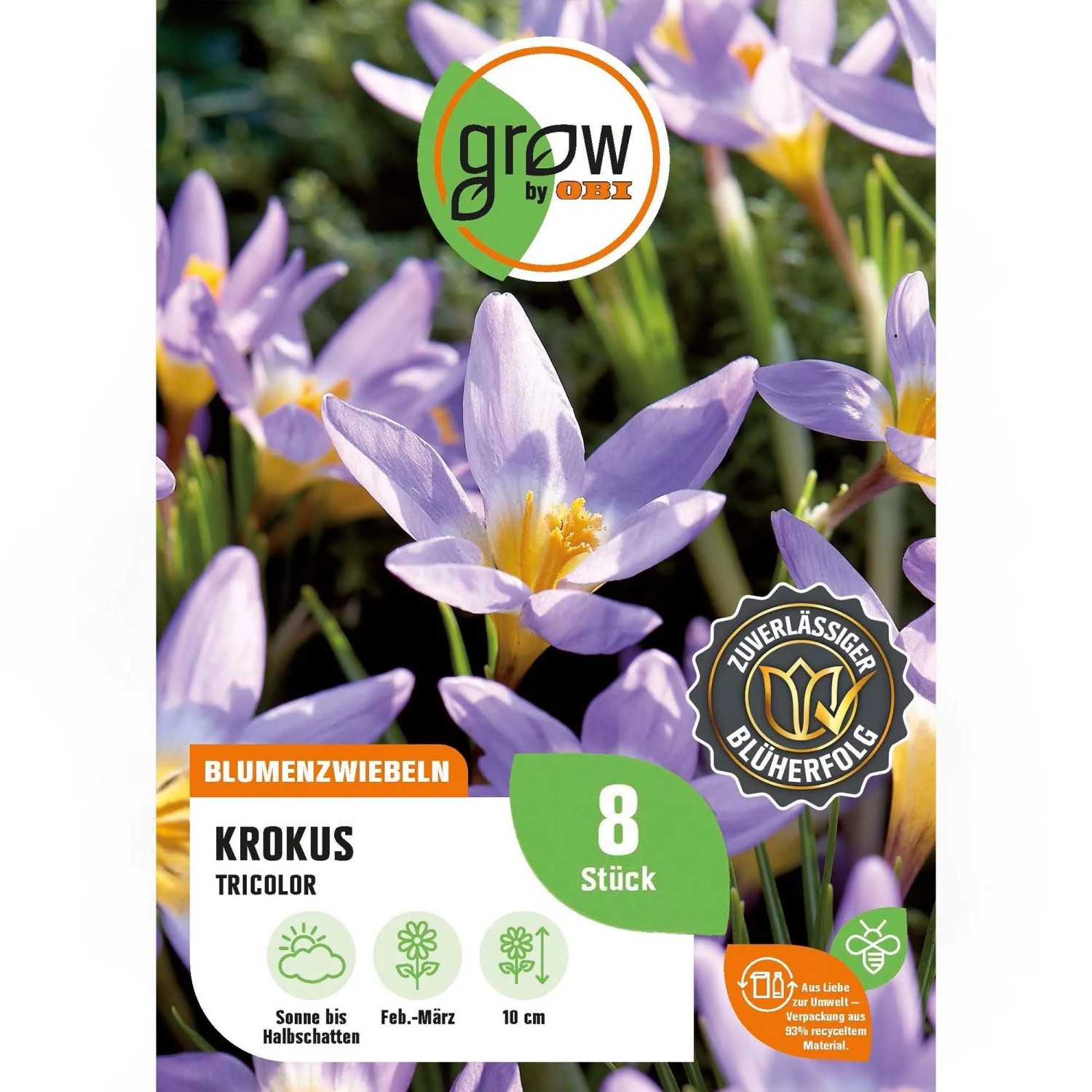 GROW by OBI Krokus Tricolor Lila-Beige 8 Stück Crocus sieberi Tricolor