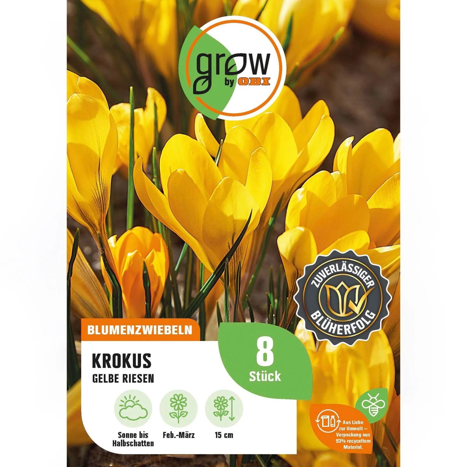 GROW by OBI Krokus Gelbe Riesen Gelb 8 Stück Crocus flavus Yellow