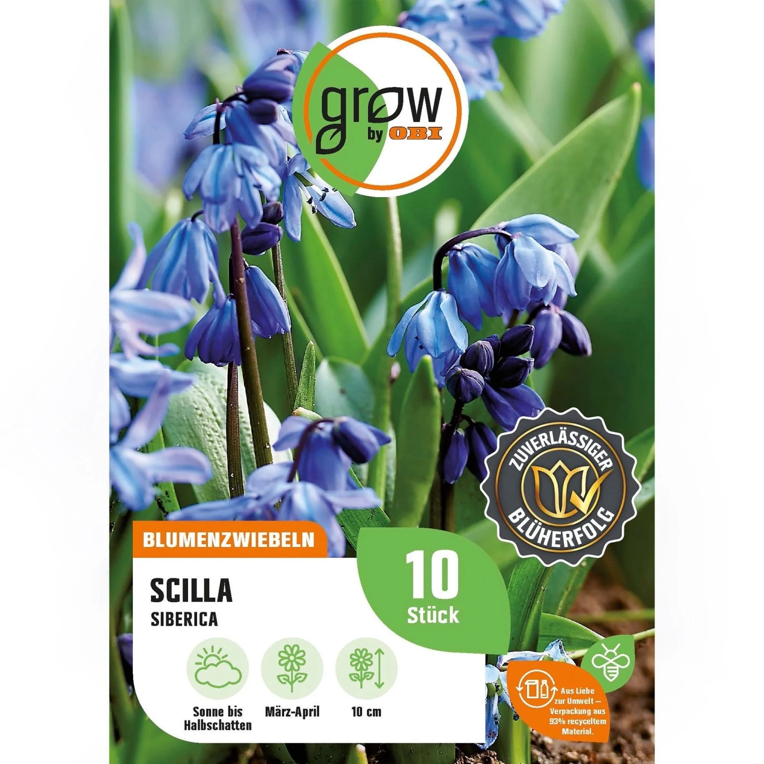 GROW by OBI Scilla siberica Blau 10 Stück
