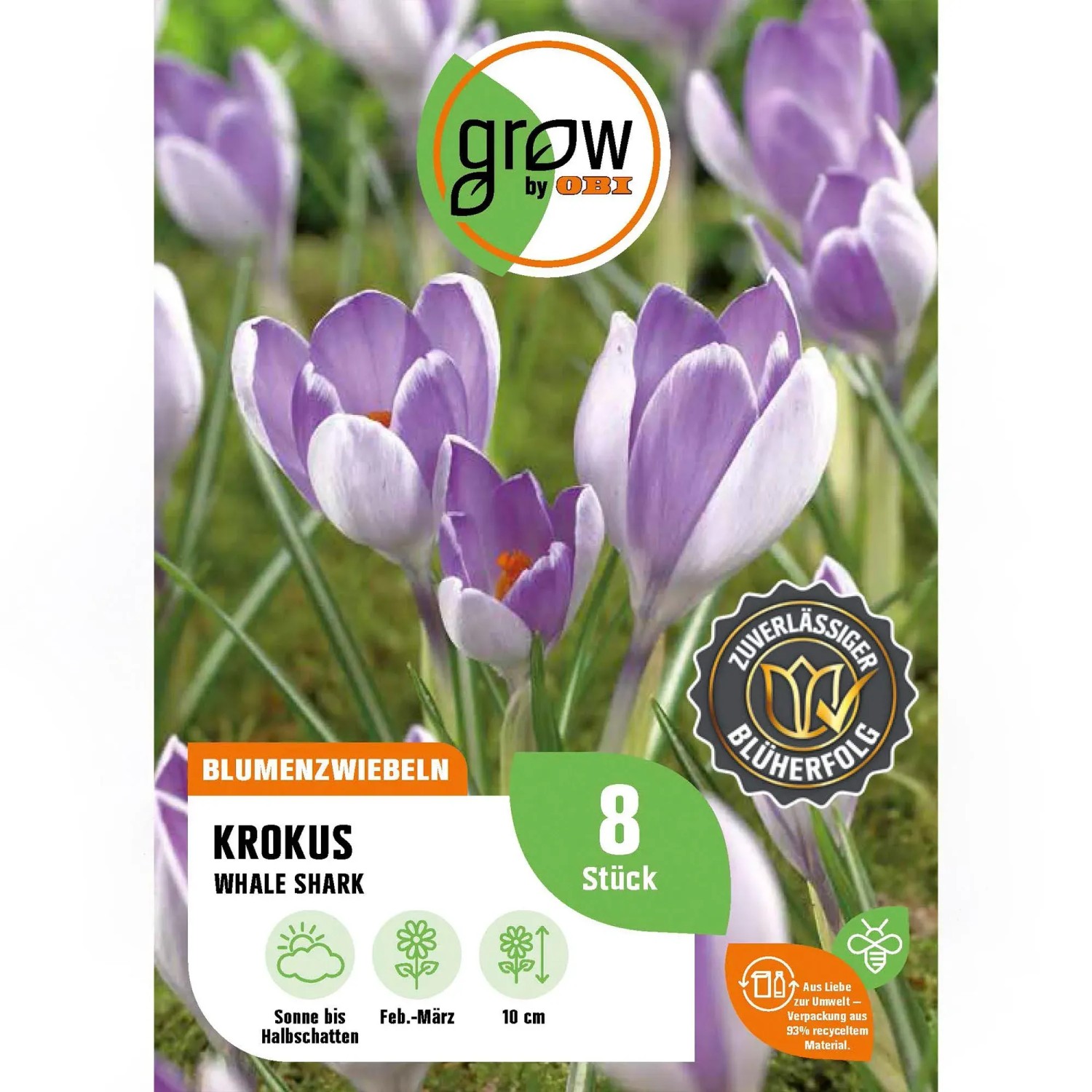 GROW by OBI Krokus Whale Shark Blau 8 Stück Krokus Botanische Whale Shark