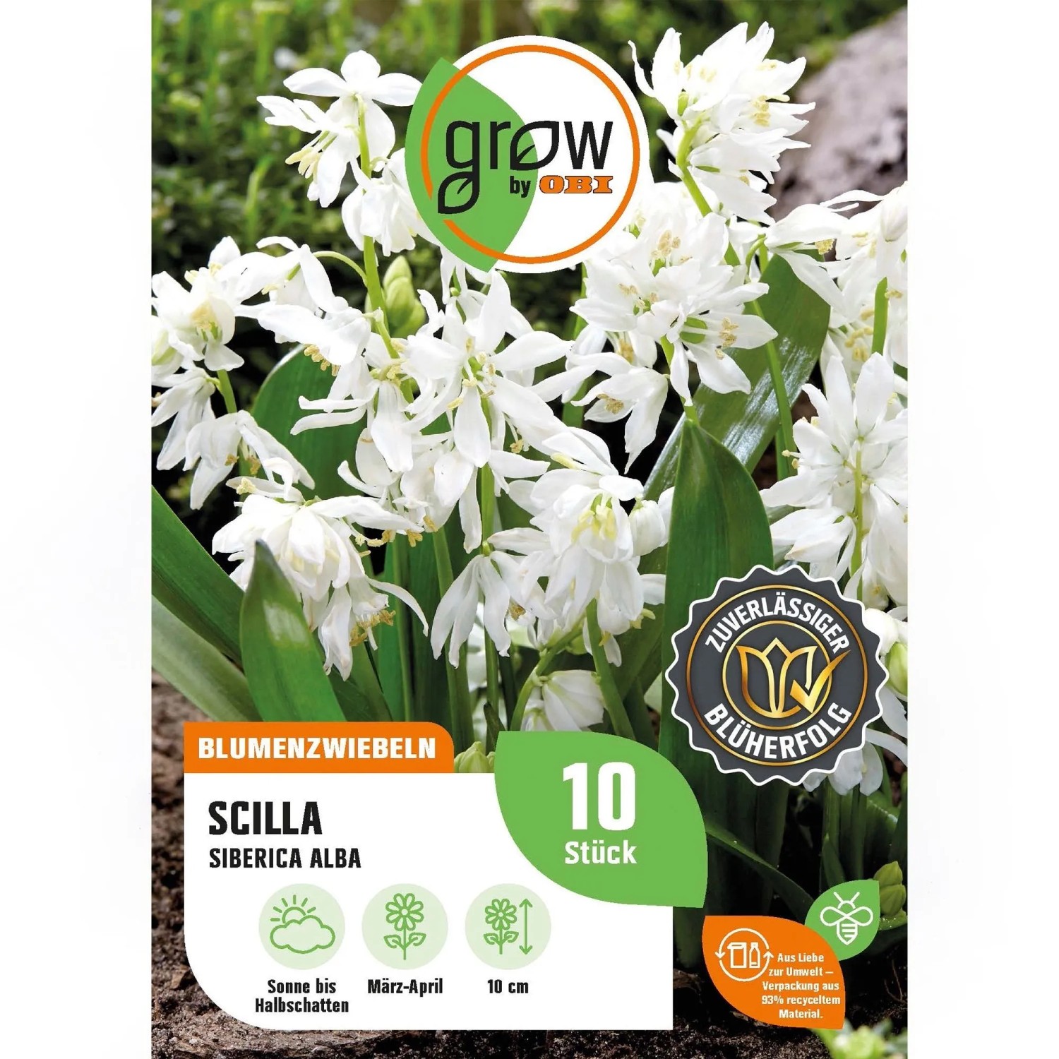 GROW by OBI Sibirischer Blaustern Alba Weiß 10 Stück Scilla siberica Alba