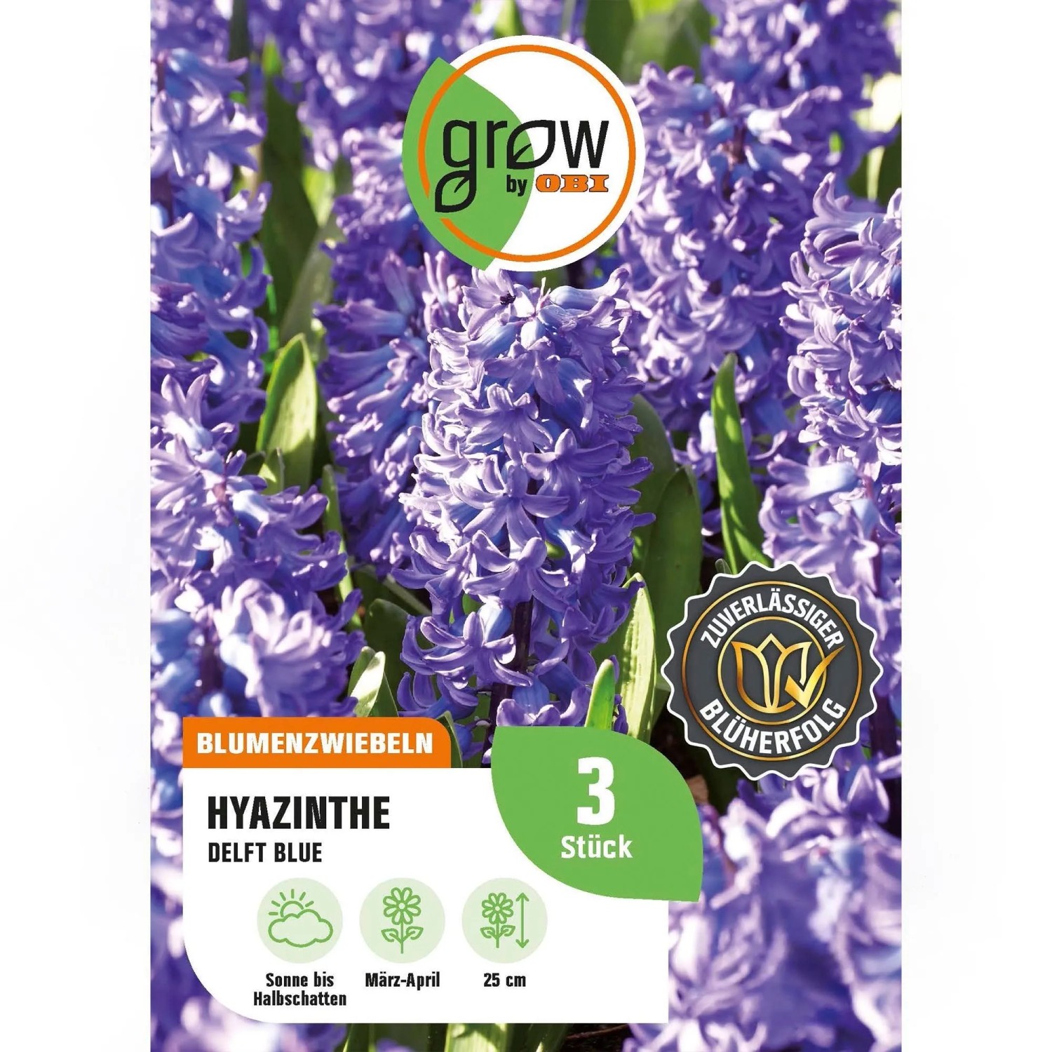 GROW by OBI Hyazinthe Delft Blue Blau 3 Stück Hyacinthus orientalis Delft Blue