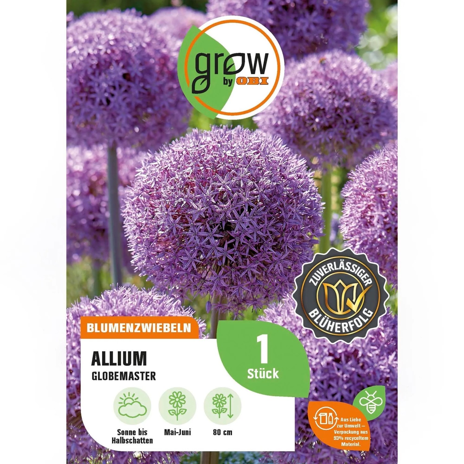 GROW by OBI Zierlauch Globemaster Purple 1 Stück Allium